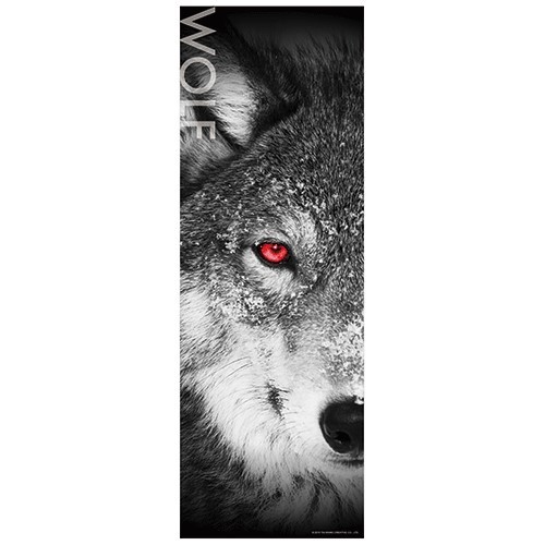 280片 戰狼 Wolf (鐵盒包裝)